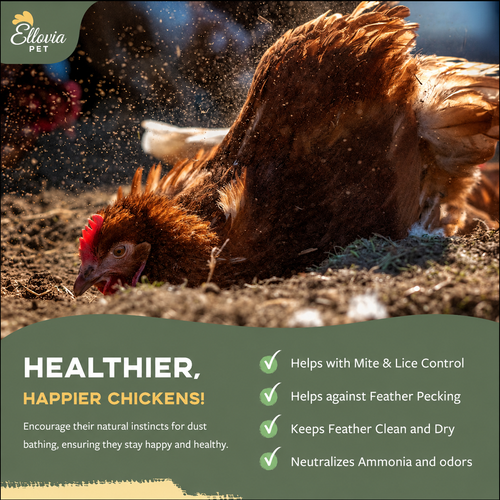 Chicken Dust Bath - 7LBS