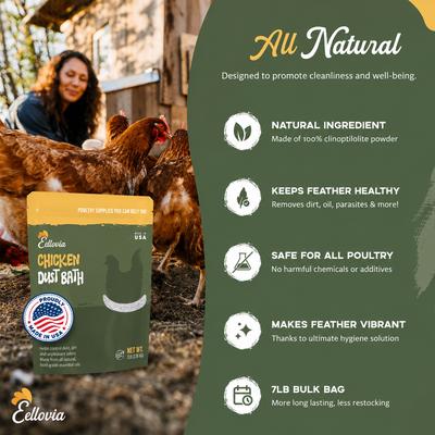 Chicken Dust Bath - 7LBS